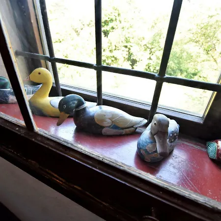 Locazione Turistica Cicogna
